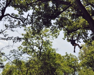 The zip line that crosses the park 